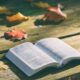 The storyline of the Scripture and the Gospel in ‘one long sentence’ and one paragraph