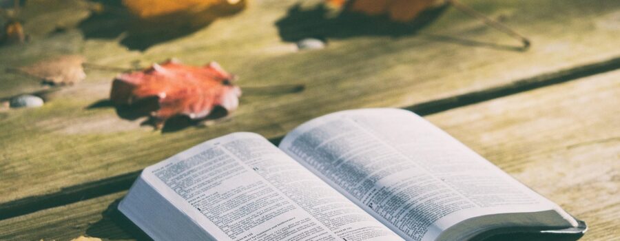 The storyline of the Scripture and the Gospel in ‘one long sentence’ and one paragraph